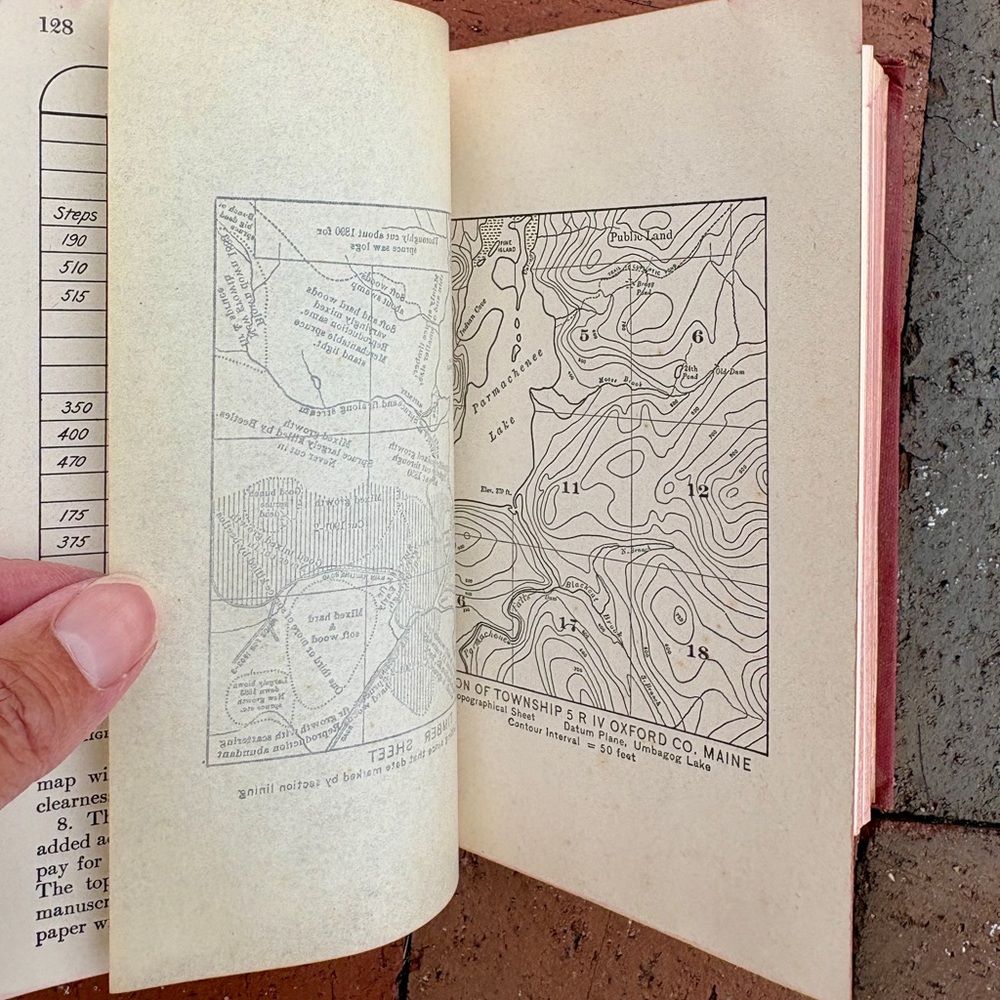 1947 Woodsman’s Manual Austin Cary Woodcutter Arborist Lumberjack Wood Timber - Picture 5 of 13